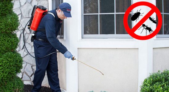 Palu Akrep İlaçlama böcek ilaçlama ve haşere kontrolü — ilaclama-tr.com